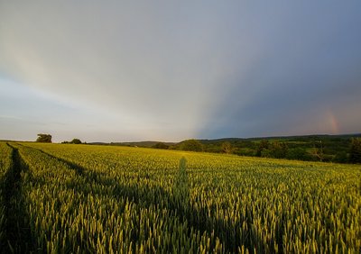 CA6_310518_03.jpg