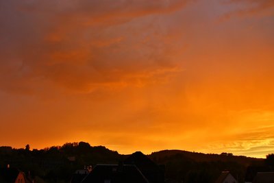 IMG_3767.jpg