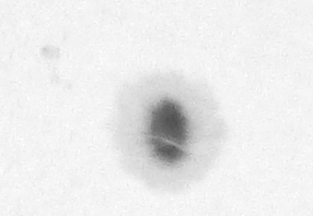 12:46 UT. Bildausschnitt, 100 Prozent Größe und leicht an den Reglern gedreht. 2,25 x Hyperion Barlow + ca. 9,5 cm Verlängerungsringe, f > 1800 mm