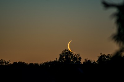 DSC_8623_150.JPG (230.63 KiB) 8686 mal betrachtet 03:37 MESZ