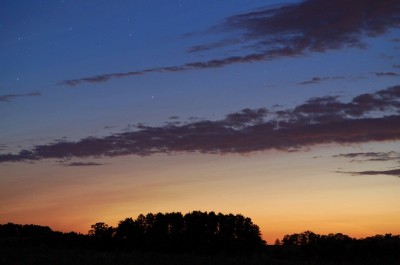 2019_07_11M_0222MESZ_K01_85mm_Brodowin_NLC_minimalst_IGP0093_1.jpg