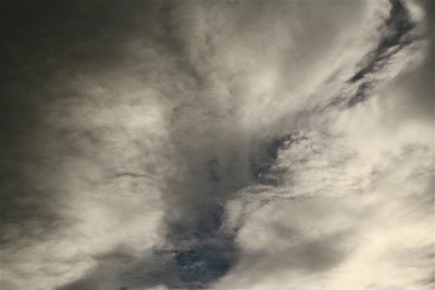 IMG_9007.JPG