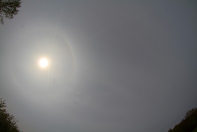 _MG_6684.jpg