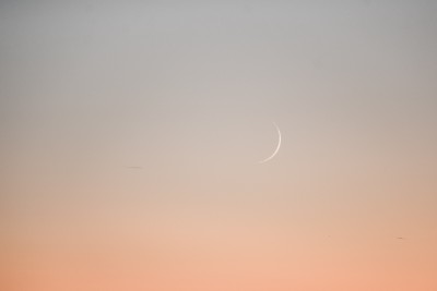 DSC_9180_150.JPG (198.52 KiB) 8052 mal betrachtet 17:32 MEZ