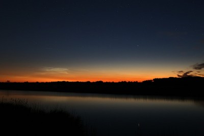 IMG_1406_800.jpg