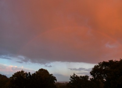 69 Rbrot 20200817.jpg