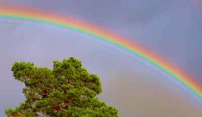 Regenbogen20201005_001small.jpg