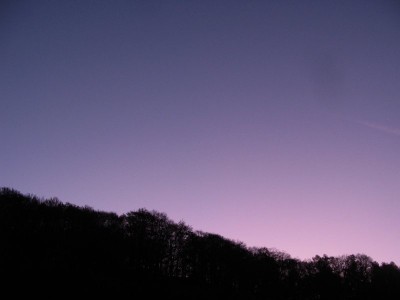 Purpurlicht