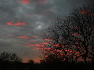 101 Abendrot Sc 20201126.jpg