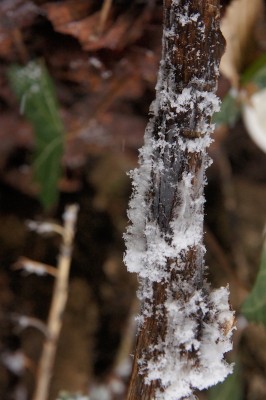 4. ... und dann kam der Schnee dazu (14:55)