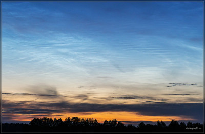 comp_NLC_220615-14.jpg
