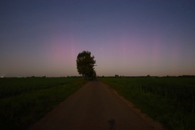 PL_2023_05_08_030827.jpg