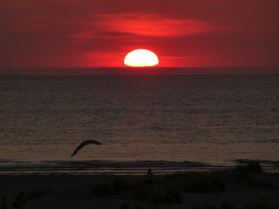 19 SU Monster NL 20230610c.jpg