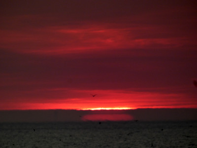 24 SU Monster NL Geistersonne 20230610a.jpg