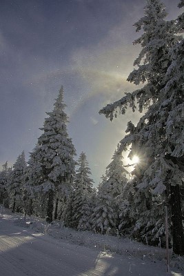 IMG_0196hdr4.jpg