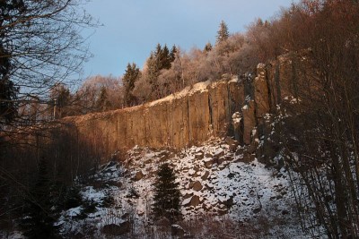 IMG_6461.jpg
