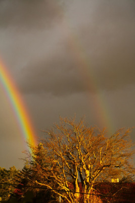 Regenbogen-dop-li-7.jpg