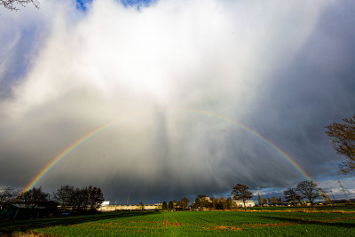 Regenbogen_24022024_2_v.jpg