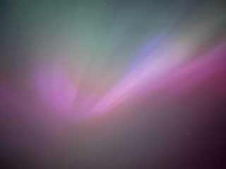 B48B3599-C08A-4849-B7E4-C5D729EE53B9.jpeg
