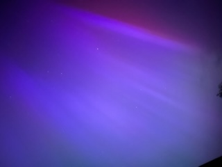 3330ADF4-2A03-41B4-9547-9A8E34FD4BA2.jpeg