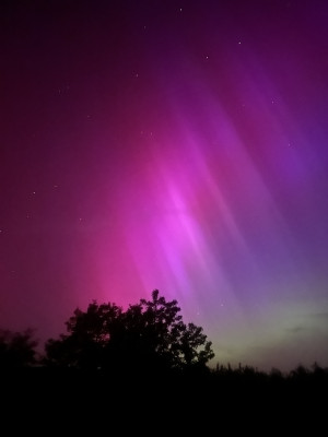 IMG_1201 Kopie 2.jpeg