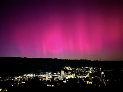 Mittel (IMG_0047).jpeg