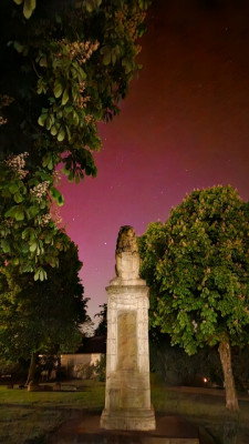 20240510_225404 - Kopie (360x640).jpg