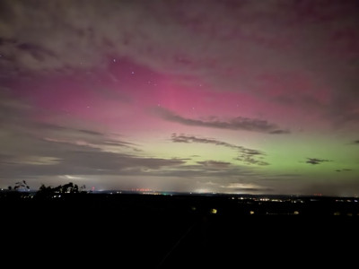 Mittel (IMG_5194).jpeg