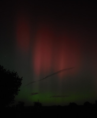 Ein ganz "normales" Handykamera-Foto (Samsung S20 FE)...