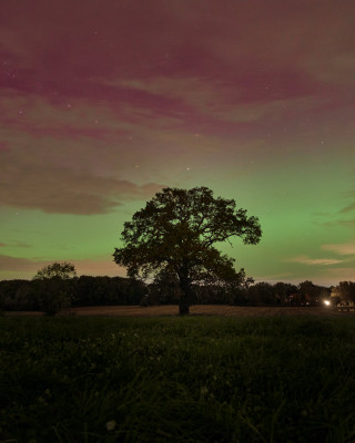 DSC01035 CO 1 small.jpg