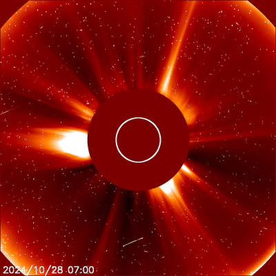 20241028_0700_c2_1024 #.jpg