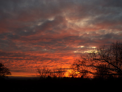 56 Morgenrot Scstr 20241205b.jpg