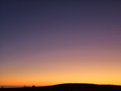 20250116_171609-min.jpg