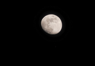 Mond Mars 09 02 2025_20_26 MEZ.jpg