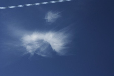 Cirrus spissatus..JPG