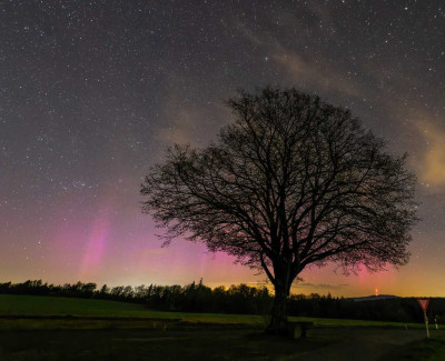 2025_04-April_16_Coburg (24-00).JPG (150.72 KiB) 6309 mal betrachtet 2025_04-April_16_Coburg (24-00).JPG