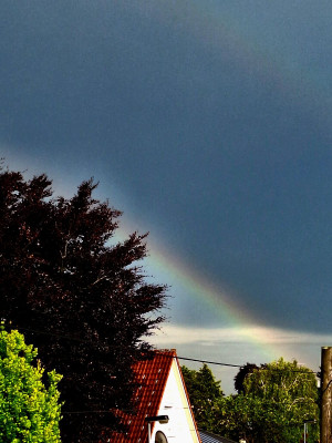 Regenbogen010625-3F.jpg