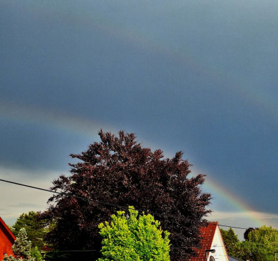 Regenbogen010625-4F.jpg