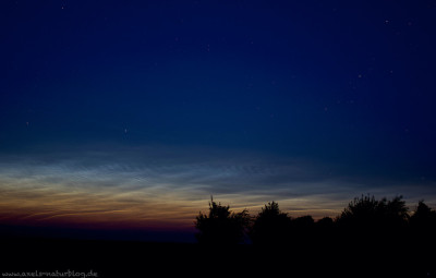 NLC17062025-2_processed Kopie.jpg