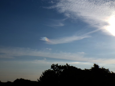 19 NSli 20250714.jpg