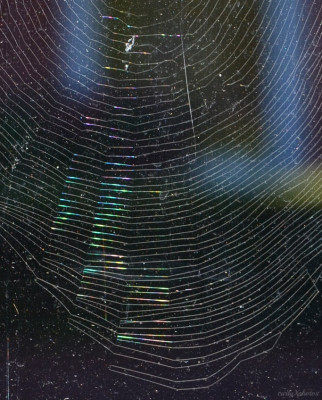 DSC_6354 verkleinert.jpg