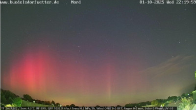 Screenshot 2025-10-01 224329.jpg