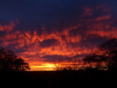 29 Morgenrot Asmam 20251031.jpg