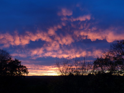 30 Morgenrot ASmam 20251031b.jpg
