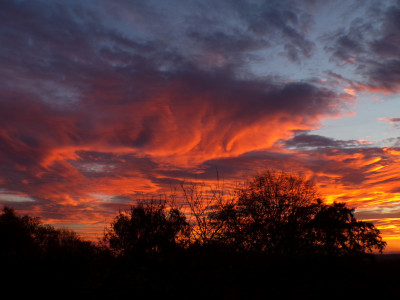 31 Morgenrot 20251101b.jpg
