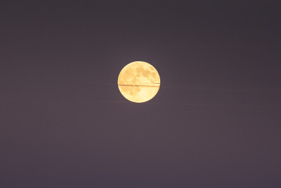 Vollmond.5112025-7.jpg