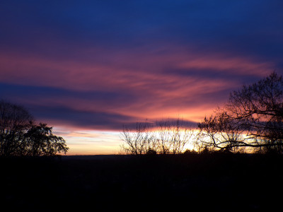 41 Morgenrot As 20251123.jpg