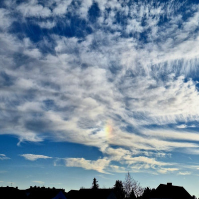 li NS-231125-1-F.jpg