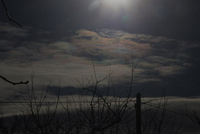 Iriswolke 311225-F.jpg