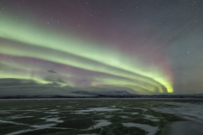 Polar.18.1.26-3.jpg